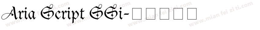 Aria Script SSi字体转换